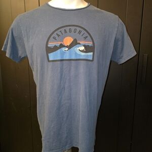 Patagonia Men's Blue Graphic T-Shirt